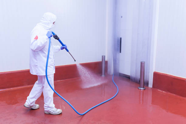 Best Parking Lot Cleaning in Northport, NY